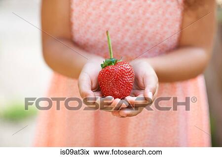 Cropped shot of girl holding a fresh strawberry in garden View Large Photo Image Stock Photo - Cropped shot of girl holding a fresh strawberry in garden. Fotosearch