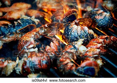Cropped view of charred shellfish cooking on barbecue View Large Photo Image Stock Image - Cropped view of charred shellfish cooking on barbecue. Fotosearch