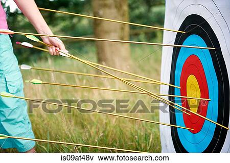 Detail of girl hand retrieving archery arrows from target View Large Photo Image Stock Photo - Detail of girl hand retrieving archery arrows from target. Fotosearch
