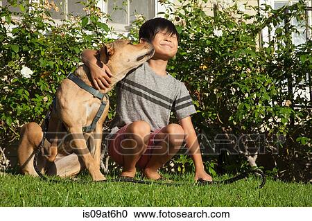 Dog licking boys face in garden View Large Photo Image Stock Image - Dog licking boys face in garden. Fotosearch