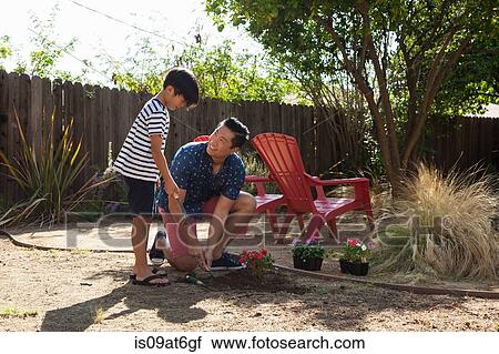 Father and son planting in garden View Large Photo Image Stock Image - Father and son planting in garden. Fotosearch