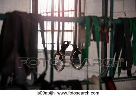 Fitness rings View Large Photo Image Stock Image - Fitness rings. Fotosearch