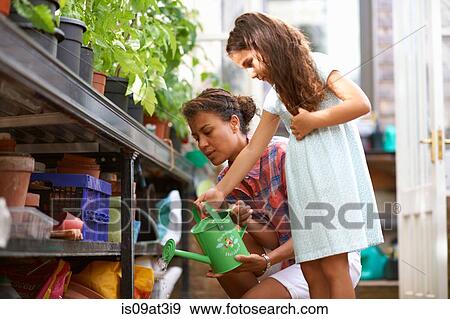 Girl and mid adult woman watering plants in greenhouse View Large Photo Image Stock Photo - Girl and mid adult woman watering plants in greenhouse. Fotosearch