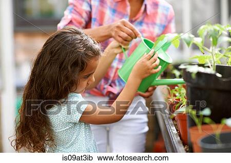 Girl and mid adult woman watering the plants in greenhouse View Large Photo Image Stock Image - Girl and mid adult woman watering the plants in greenhouse. Fotosearch
