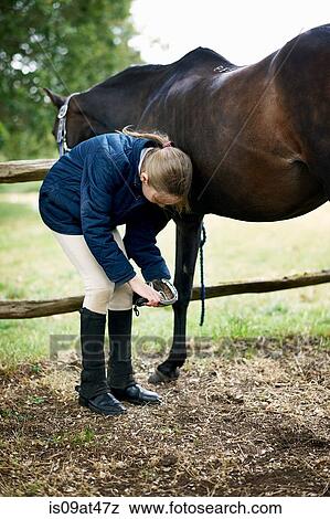Stock Photo - Girl checking horses hoof. Fotosearch