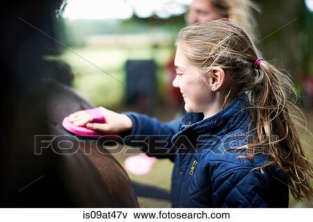 Girl horseback rider grooming horse View Large Photo Image Stock Photo - Girl horseback rider grooming horse. Fotosearch