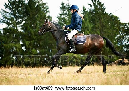 Girl riding horse in field View Large Photo Image Stock Photo - Girl riding horse in field. Fotosearch