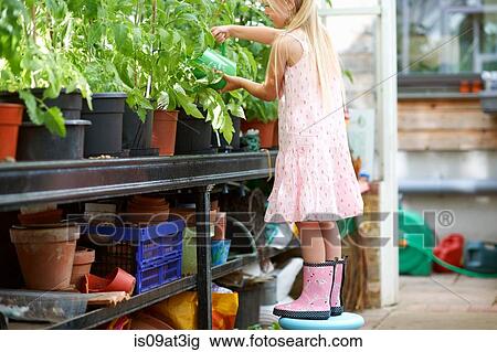 Girl standing on stool to water the plants in greenhouse View Large Photo Image Stock Image - Girl standing on stool to water the plants in greenhouse. Fotosearch