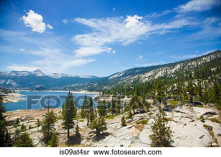 Stock Photography - "High angle view of trees and lake, High Sierra National Park, California, USA". Fotosearch