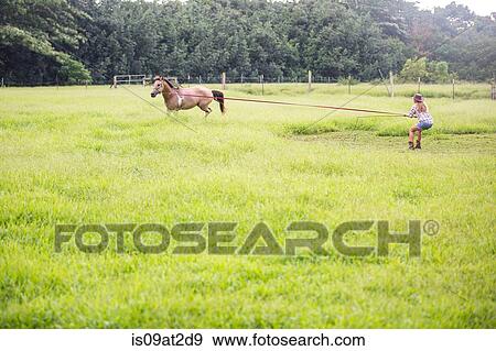 Stock Photo - Mature woman exercising horse in field. Fotosearch