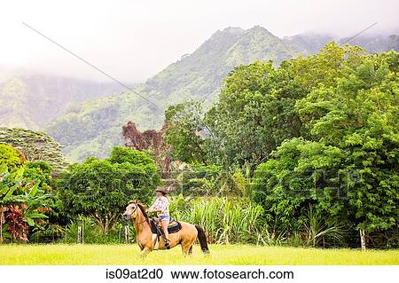Mature woman riding horse in field View Large Photo Image Stock Image - Mature woman riding horse in field. Fotosearch
