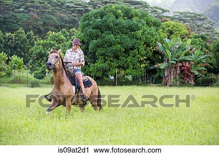 Stock Image - Mature woman riding horse in field. Fotosearch