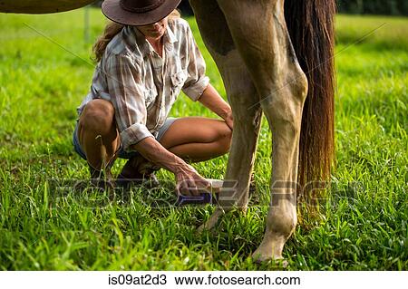 Stock Image - "Mature woman tending to horse, low section". Fotosearch