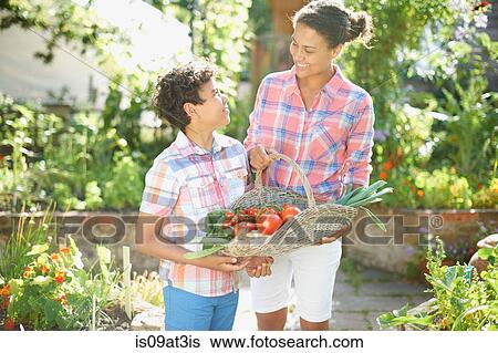 Mid adult woman and son holding basket of fresh vegetables in garden View Large Photo Image Stock Photograph - Mid adult woman and son holding basket of fresh vegetables in garden. Fotosearch