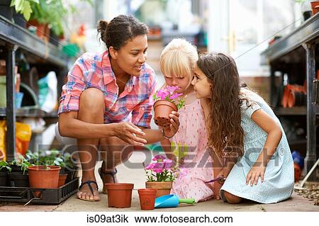 Mid adult woman and two girls smelling flower pots in greenhouse View Large Photo Image Stock Image - Mid adult woman and two girls smelling flower pots in greenhouse. Fotosearch