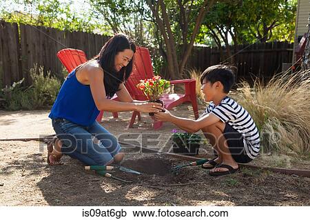 Mother and son planting in garden View Large Photo Image Stock Image - Mother and son planting in garden. Fotosearch