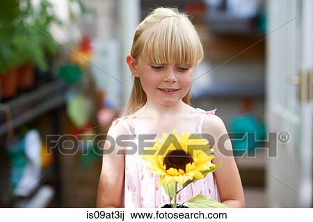 Portrait of girl holding sunflower in greenhouse View Large Photo Image Stock Image - Portrait of girl holding sunflower in greenhouse. Fotosearch