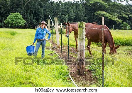 "Portrait of mature woman, in field, standing beside horse" View Large Photo Image Stock Photo - "Portrait of mature woman, in field, standing beside horse". Fotosearch