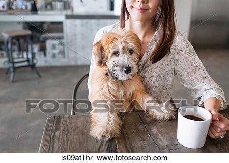 Stock Photography - Portrait of puppy sitting on female owners knee at kitchen table. Fotosearch