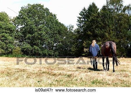 Stock Photography - Rear view of girl leading horse in field. Fotosearch