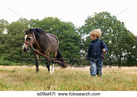Small boy leading pony in field View Large Photo Image Stock Photograph - Small boy leading pony in field. Fotosearch