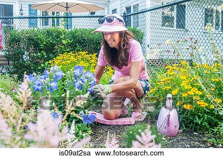 Woman pruning flowers in garden View Large Photo Image Stock Image - Woman pruning flowers in garden. Fotosearch