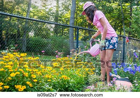 Stock Photo - Woman watering flowers in garden. Fotosearch