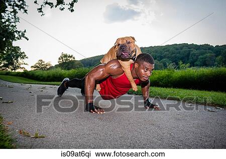 Young man doing pushups on rural road whilst giving dog a piggyback View Large Photo Image Stock Image - Young man doing pushups on rural road whilst giving dog a piggyback. Fotosearch
