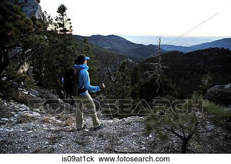 "Young woman hiking, Mount Charleston Wilderness trail, Nevada, USA" View Large Photo Image Stock Image - "Young woman hiking, Mount Charleston Wilderness trail, Nevada, USA". Fotosearch