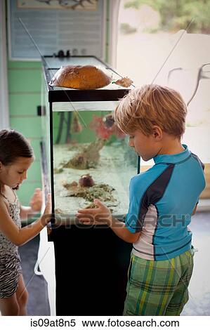 Stock Photography - Boy and girl looking at salt water aquarium. Fotosearch