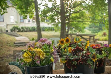 Buckets of farm fresh flowers for sale View Large Photo Image Stock Image - Buckets of farm fresh flowers for sale. Fotosearch
