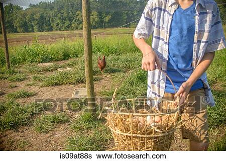 Cropped shot of boy carrying basket of eggs in field View Large Photo Image Stock Photograph - Cropped shot of boy carrying basket of eggs in field. Fotosearch