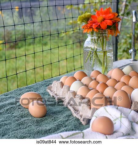 Flowers in bottle and tray of eggs on table View Large Photo Image Picture - Flowers in bottle and tray of eggs on table. Fotosearch
