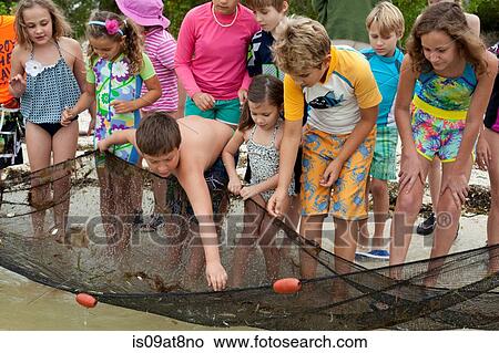 Front view of large group of kids collecting small fish from fishing net View Large Photo Image Picture - Front view of large group of kids collecting small fish from fishing net. Fotosearch