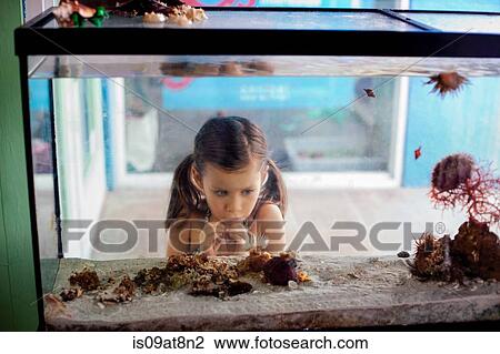 Stock Image - Girl looking into salt water aquarium. Fotosearch