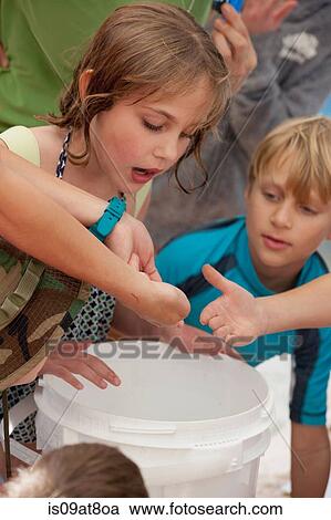 Hand holding sea creature, children looking View Large Photo Image Stock Image - Hand holding sea creature, children looking. Fotosearch