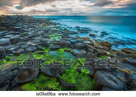 High angle view of moss covered Giants Causeway and blue ocean, Bushmills, County Antrim, Ireland, UK View Large Photo Image Stock Image - High angle view of moss covered Giants Causeway and blue ocean, Bushmills, County Antrim, Ireland, UK. Fotosearch