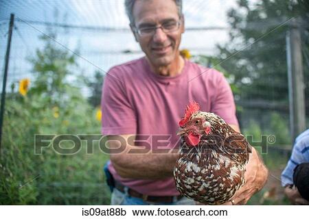 Stock Image - Mature farmer holding hen on farm. Fotosearch