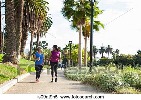 Mature female friends walking in park, holding water bottles View Large Photo Image Stock Photography - Mature female friends walking in park, holding water bottles. Fotosearch