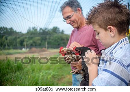 Stock Photography - Mature man and boy petting hens on farm. Fotosearch