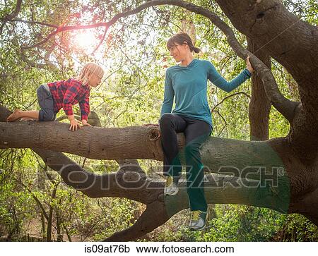 Mother and son sitting in tree View Large Photo Image Stock Image - Mother and son sitting in tree. Fotosearch