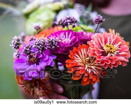 Stock Image - Person holding colourful flowers. Fotosearch