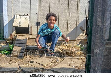 Portrait of boy in hen house collecting eggs View Large Photo Image Stock Image - Portrait of boy in hen house collecting eggs. Fotosearch