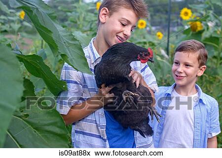 Portrait of brothers in field holding hen View Large Photo Image Stock Photo - Portrait of brothers in field holding hen. Fotosearch