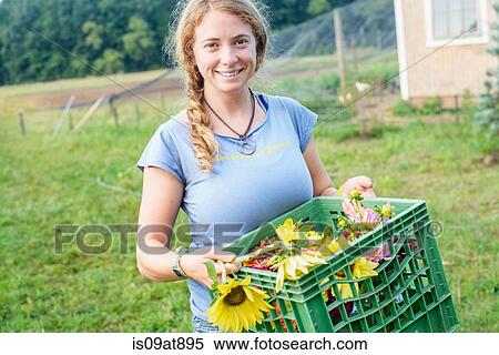 Portrait of female farm worker carrying a crate of fresh cut flowers View Large Photo Image Stock Photography - Portrait of female farm worker carrying a crate of fresh cut flowers. Fotosearch