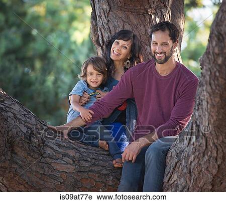Portrait of young boy with mother and father, sitting in tree View Large Photo Image Stock Image - Portrait of young boy with mother and father, sitting in tree. Fotosearch