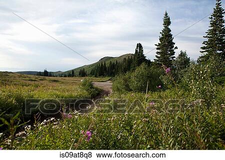 Rural scene, Bountiful, Utah, USA View Large Photo Image Stock Photo - Rural scene, Bountiful, Utah, USA. Fotosearch