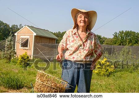 Senior woman carrying basket of straw on farm View Large Photo Image Stock Photograph - Senior woman carrying basket of straw on farm. Fotosearch