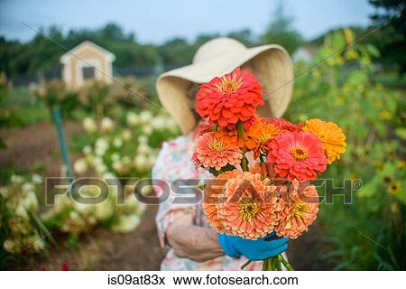 Senior woman holding flowers in front of face on farm View Large Photo Image Stock Photo - Senior woman holding flowers in front of face on farm. Fotosearch