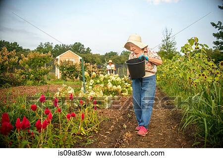 Senior woman watering flowers with bucket on farm View Large Photo Image Stock Photo - Senior woman watering flowers with bucket on farm. Fotosearch